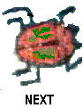 no alt text