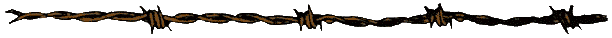 no alt text